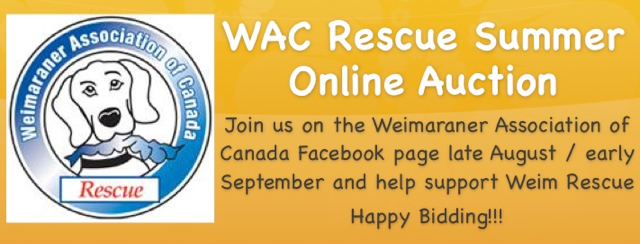 GG-2013-WAC-Auction-add