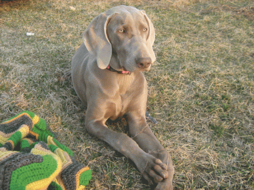 Jasmine-beauty-e1379772110811