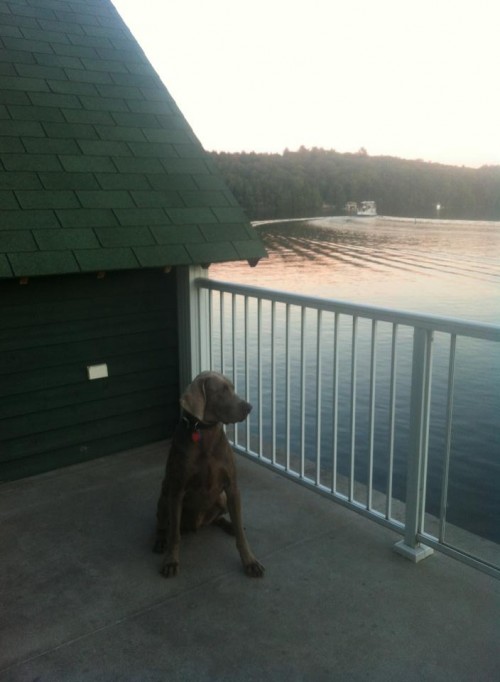 Tanner-posing-at-the-cottage-e1379772000212