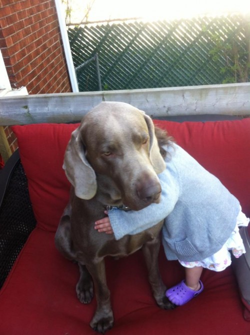 tanner-little-girl-e1379771976682