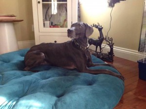 46165_655431917846319_375490773_n