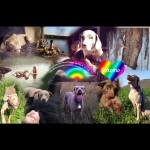 Kokomo Collage 4Oct2014