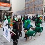 11062073_10155375564570271_9221701354786725446_n