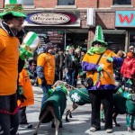 11088336_829692587078373_4506717173763735618_n