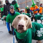 1507795_829692663745032_5213480829116436334_n