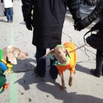 1551643_829692863745012_3105564042112125998_n