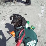 19591_829692790411686_6640202360447441052_n