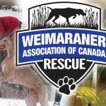 WACRescue Banner 2025